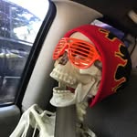 Wilson Bones Jowers - @therealsherlockbones - Instagram