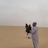 WilsonBONESSO - @wilsonbonesso4870 - TikTok