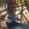 Boyd Wilson - @boyd.wilson0 - TikTok