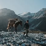 Josh Boyd-Wilson - @joshboydwilson - Instagram