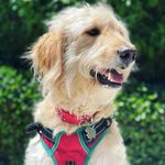 Wilson Boyd - @wilsonzworld - Instagram