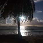 Wilson Cabral - @wilsoncabral49 - Instagram