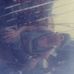 Wilson Camacho Vidales - Facebook