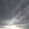 Wilson Cano - @wilson.cano88 - TikTok
