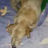 Wilson Cano - @wilson.cano6 - TikTok
