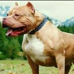 Wilson Cano - @wilson.cano.121 - Instagram