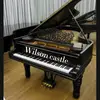 Wilson Castle - @wilson.castle0 - TikTok