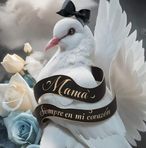 Wilson Chambers Diaz - Facebook