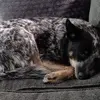 Wilson - @wilsonchambers - TikTok