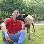 Wilson Chavez Uc - @wilson_uc28 - Instagram