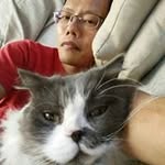 Wilson Chun - @wilson_so2003 - Instagram