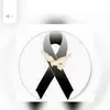 Wilson Alex Cisneros - @wilson_cisneros - TikTok
