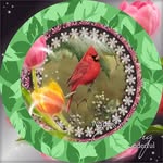 Roberta May Wilson Cobb - @robertamaywilsoncobb - Instagram