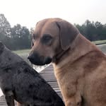 Wilson Cobb - @wilson_cobbler - Instagram