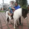 Wilson Collazos - @wilsoncollazos477 - TikTok