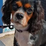 Bev Wilson Crossley - @wilsoncrossley - Instagram