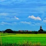 Wilson Cross - @wilsoncross362 - Instagram