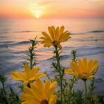 Wilson Cunningham - @wilsoncunningham25 - Instagram