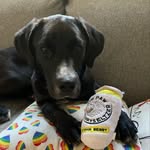 Wilson Cunningham - @wilsonater_ - Instagram