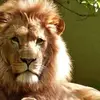 Wilson De Leon31 - @wilsondeleon316 - TikTok
