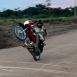 Wilson Guedes Ribeiro - @wilson_do_grauu46 - Instagram