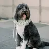 Wilson - @wilsondood - TikTok