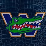 Movember Dodgeball - @wilsondodgeball2k18 - Instagram