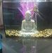 Wilson Duong - Facebook