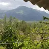 wilsonespinal6112 - @wilson_espinal - TikTok