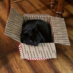 Sherian Wilson Ferguson - @sherian312 - Instagram