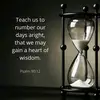 Wilson Ferguson - @wilson_ferguson - TikTok