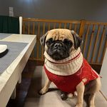 Wilson Ferguson The Third - @badboywillyy - Instagram