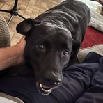 Wilson Fleming Jr. - Facebook