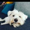 Wilson & Friends - @wilson.friends - TikTok