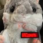 Wilson Friend - @wilsonfriend17 - Instagram