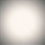 Wilson Garrido - @_wilsongarrido - Instagram