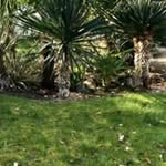 @wils.onharrison - Instagram