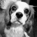 Wilson Harrison - Facebook