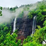Amazing Wilson Hills - @amazing.wilsonhill - Instagram