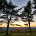 Wilson Hill - Facebook