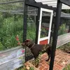 Wilson Hill - @wilson.hill - TikTok