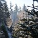 Wilson Hill Tree Farm - Facebook