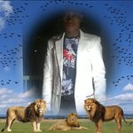 Wilson Hoffman - @wilsonhoffman36 - Instagram