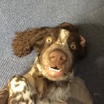 Hooper Wilson-Quinn MC - @hooperwilsonquinn - Instagram
