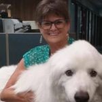 Lisa Wilson-Kline - @lisawilsonkline - Instagram