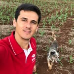 Wilson Mattana - @wilsonmattana - Instagram