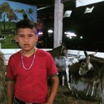 wilson Matute - @wilsondario5801 - Instagram
