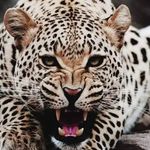 Wilson Matute - @matute5716 - Instagram