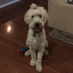Wilson Mueller - @mr.wilson313 - Instagram