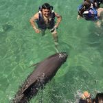 Wilson Ortega - @wilson_ortega113 - Instagram